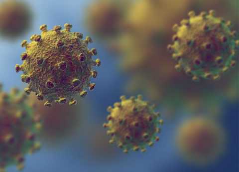 Coronavirus, in Puglia 10 nuovi casi: positivo lo 0,38% dei tamponi